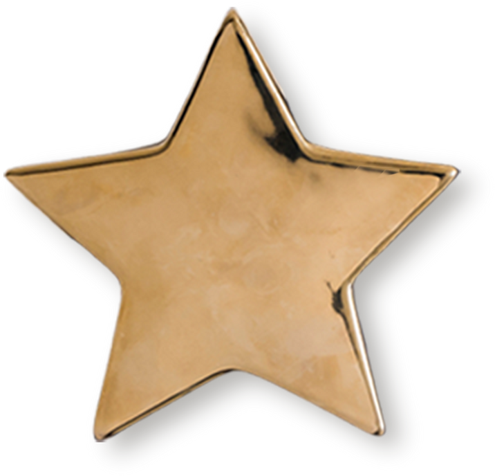 Gold Star Isolated on White